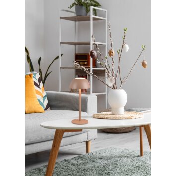 Reality lights Ricardo table lamp LED brown, 1-light source