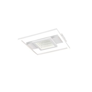Reality lights Wheeler ceiling light LED white, 1-light source