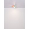 Globo lighting Hines Ceiling fan light LED colourful, white, 1-light source, Remote control