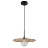 Globo lighting Riga hanging light black, 1-light source