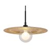 Globo lighting Riga hanging light black, 1-light source