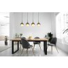 Globo lighting Barry hanging light black, 4-light sources
