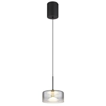 Globo lighting Belinda hanging light LED black, 1-light source