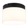 Globo lighting Trenton ceiling light LED black, 1-light source