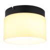 Globo lighting Trenton ceiling light LED black, 1-light source