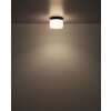 Globo lighting Trenton ceiling light LED black, 1-light source