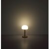 Mushroom Lamp  Globo lighting Norman table lamp LED champagne, 1-light source