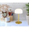 Globo lighting Norman table lamp LED brass, 1-light source