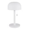 Globo lighting Norman table lamp LED white, 1-light source