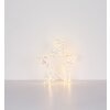 Globo lighting Stara decorative light LED transparent, clear, white, 100-light sources