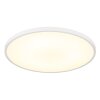 Globo lighting Nielsen ceiling light LED white, 1-light source