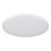 Globo lighting Nielsen ceiling light LED white, 1-light source
