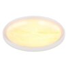 Globo lighting Tyrone ceiling light LED white, 1-light source