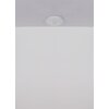Globo lighting Cavendish ceiling light LED white, 1-light source