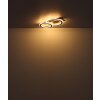 Globo lighting Jayden ceiling light LED black, 1-light source