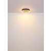 Globo lighting Hedi ceiling light LED gold, black, 1-light source