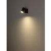 Globo lighting und ceiling light, ceiling spotlight, wall light, wall spotlight dark brown, black, 1-light source