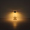 Globo lighting Wanda table lamp LED amber, 1-light source