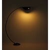 Globo lighting Robles floor lamp LED black, 1-light source
