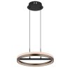 Globo lighting Della hanging light LED black, 1-light source