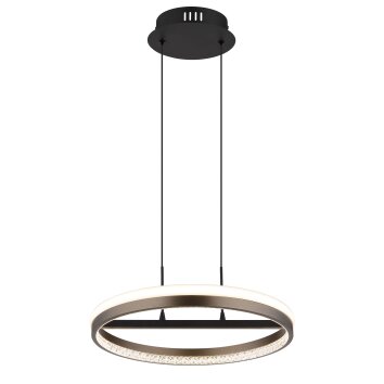 Globo lighting Della hanging light LED black, 1-light source