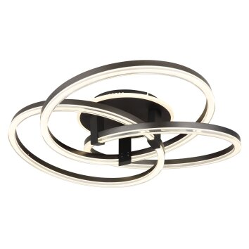 Globo lighting Tris ceiling light LED anthracite, 1-light source, Remote control