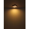 Globo lighting Hayden ceiling light LED Ecru, black, 1-light source, Remote control