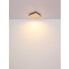 Globo lighting Hayden ceiling light LED Ecru, black, 1-light source, Remote control