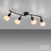 Leuchten Direkt lights LOKI ceiling light LED black, 4-light sources