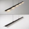 Leuchten Direkt lights NELE pendant light LED black, 1-light source