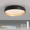 Leuchten Direkt lights OSKO ceiling light LED black, 1-light source, Remote control