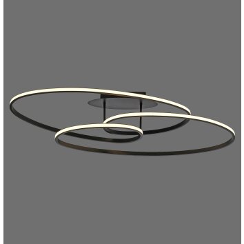 Leuchten Direkt lights LUMACA ceiling light LED black, 1-light source