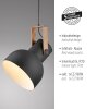 Leuchten Direkt lights 2.0 pendant light LED brown, black, 1-light source