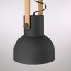 Leuchten Direkt lights 2.0 pendant light LED brown, black, 1-light source