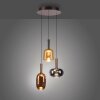 Paul Neuhaus lights Irides pendant light LED brown, 3-light sources