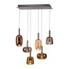 Paul Neuhaus lights Irides pendant light LED brown, 6-light sources