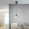 Paul Neuhaus Q-Serie Q-Kon pendant light LED brown, 1-light source, Remote control