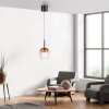 Paul Neuhaus Q-Serie Q-Kon pendant light LED brown, 1-light source, Remote control