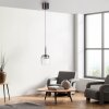 Paul Neuhaus Q-Serie Q-Kon pendant light LED brown, 1-light source, Remote control