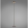Paul Neuhaus Q-Serie Q-Rotate floor lamp LED brown, 1-light source, Remote control