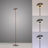 Paul Neuhaus Q-Serie Q-Rotate floor lamp LED brown, 1-light source, Remote control