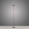 Paul Neuhaus Q-Serie Q-Rotate floor lamp LED brown, 1-light source, Remote control