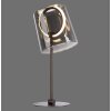 Paul Neuhaus lights Zula table lamp LED black, 1-light source