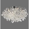 Paul Neuhaus lights Ricicle ceiling light LED silver, 10-light sources