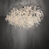 Paul Neuhaus lights Ricicle ceiling light LED silver, 10-light sources