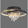 Paul Neuhaus lights Rotazo ceiling light LED gold, black, 1-light source