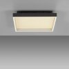 Paul Neuhaus Q-Serie Q-Magong ceiling light LED black, 1-light source, Remote control