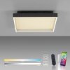 Paul Neuhaus Q-Serie Q-Magong ceiling light LED black, 1-light source, Remote control