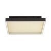 Paul Neuhaus Q-Serie Q-Magong ceiling light LED black, 1-light source, Remote control