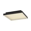 Paul Neuhaus Q-Serie Q-Magong ceiling light LED black, 1-light source, Remote control